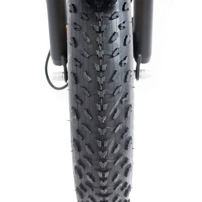 SILVERADO 20 48V/14AH 750W Foldable Fat Tire Electric Trike, 330LBS (96817362)